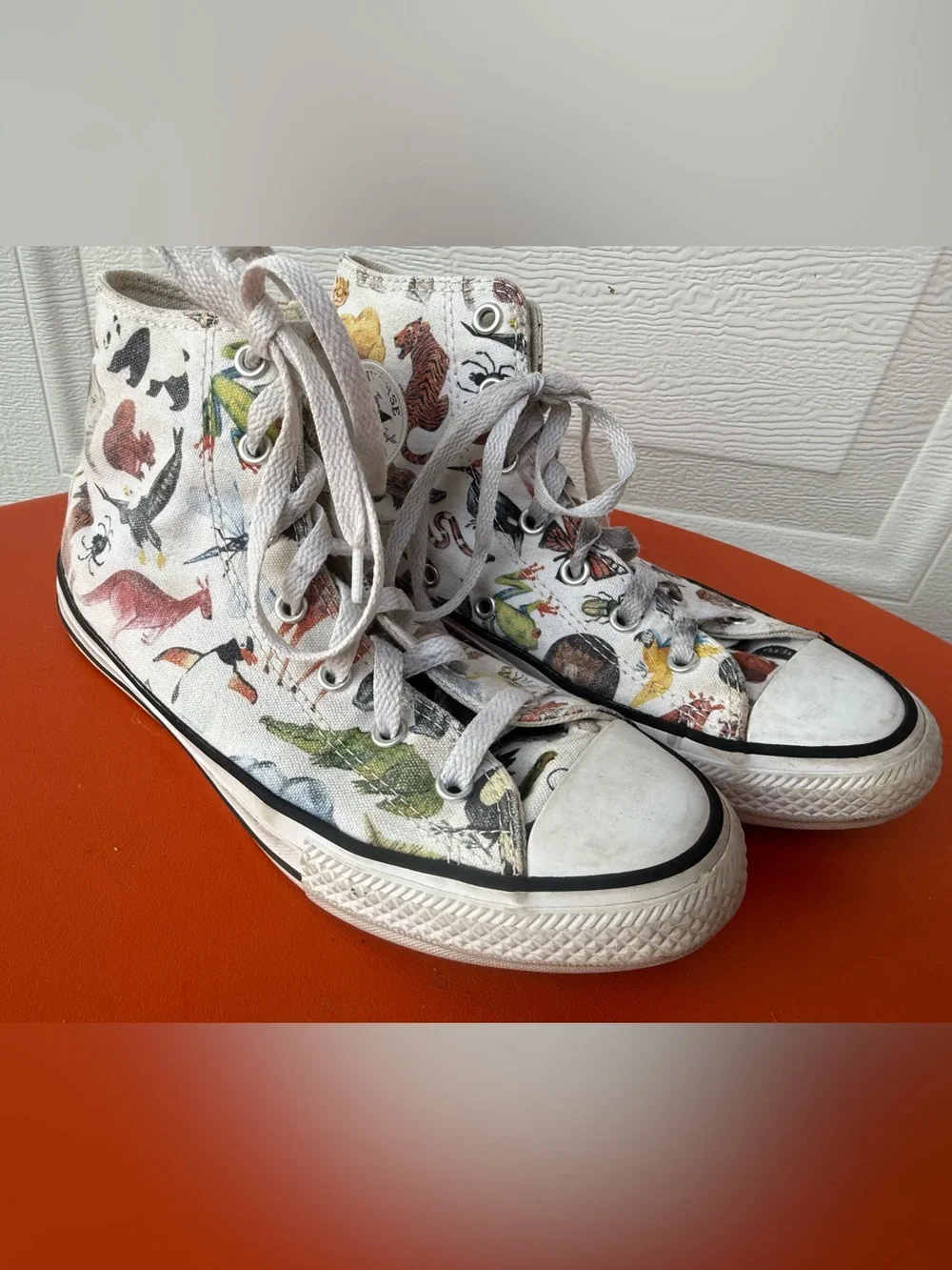 Converse Junior Chuck Taylor All Star Hi sneakers Science Class / Zoo Animals 5
